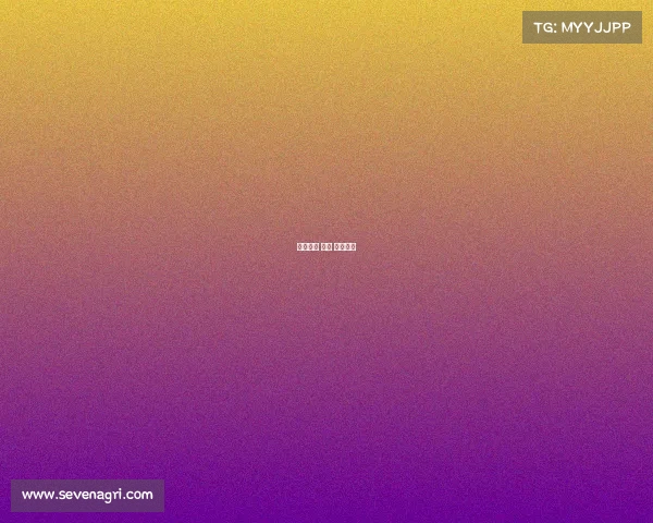 国际象棋 世界 赛事排名