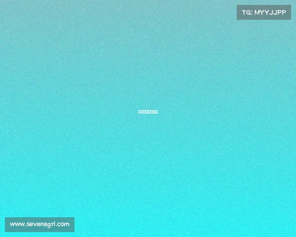 拳头公司三场比赛