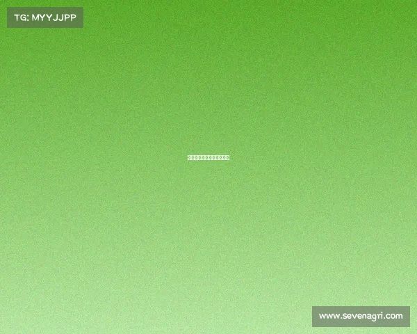 电子竞技员最终评审是什么