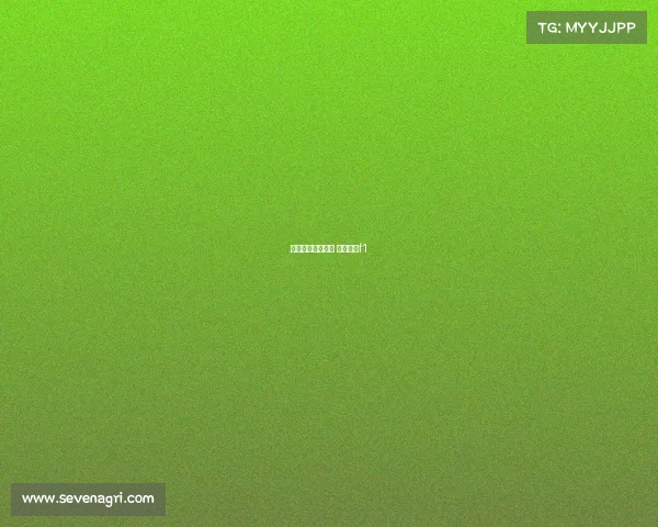 红牛电子竞技车队 红牛车队f1