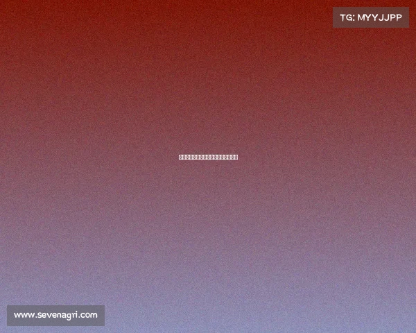 龙族电子竞技英文、龙族中的英文单词